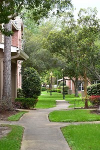 One Bedroom Apartment for rent in Northwest Houston, TX   
